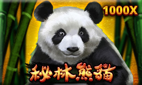 秘林熊貓